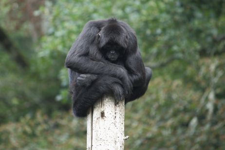 2011-07-30_zoo_231.JPG